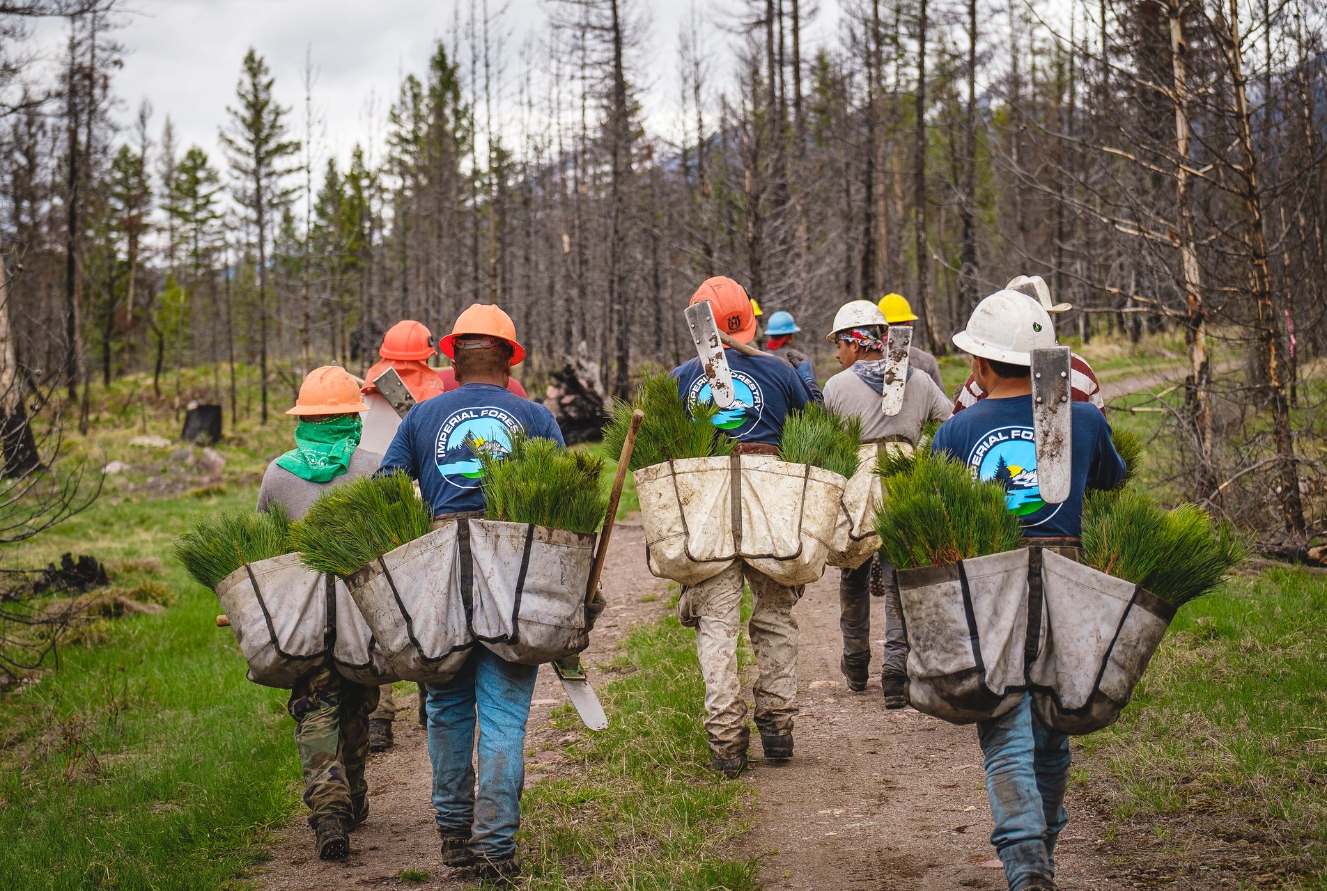 Leaked recordings detail a major environmental agency quietly gutting its workforce